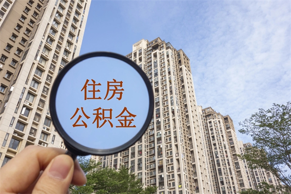 全国公积金离职了可以取多少（全国公积金离职了可以取多少钱一个月）