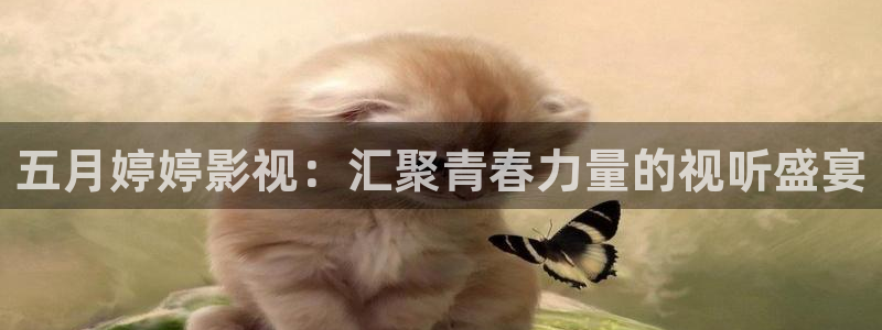 蜜桃视频在线观看不卡